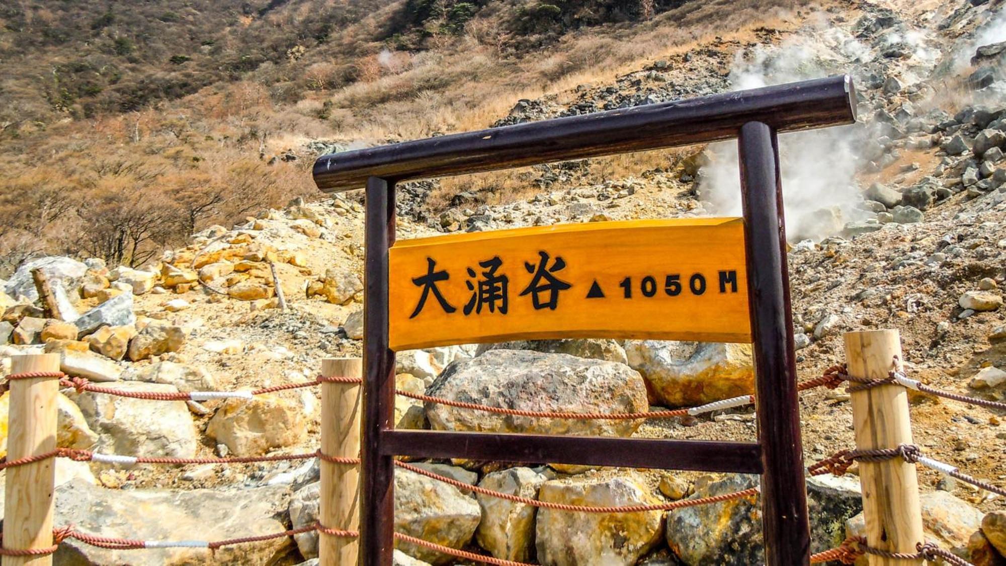 Toyoko Inn Gotemba Ekimae المظهر الخارجي الصورة